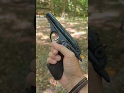 First shots out of my new Whitney Wolverine.