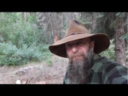 DEEP Thoughts of a Ol' MOUNTAIN HILLBILLY