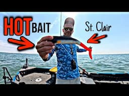 Lake St. Clair MUSKY OPENER!!! w/ NFL Pro Danny Pinter (Go Colts)!