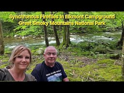 Synchronous Fireflies At Elkmont Campground - Great Smoky Mountains National Park
