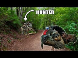 Chasing GOBBLERS in APPALACHIA - Opening Day Success!