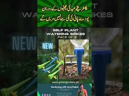 Tips to save plants from Dehydration in Summers