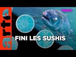 Contre l’élevage intensif, ce collectif va vous dégoûter du saumon | Tracks | ARTE