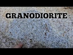 Mount Dissapointment Granodiorite