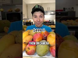 Eating $500 worth of Mangos 💰🥭 #shorts