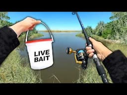 Eating Whatever I Catch.. (Catch and Cook) Saltwater Bank Fishing