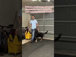 Your dog’s success is up to you! #dogs #train