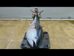 The Biggest Fish I Will Ever Catch (Commercial Bluefin Tuna)