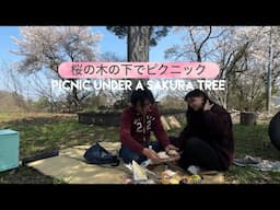 A long road full of Sakura trees! 桜の木がいっぱいの長い道！| Mount Chōkai