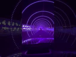 World’s longest Christmas light tunnel
