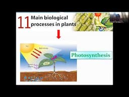 || Science With Muhmina Teacher || English Medium || Evening School || Grade 8 || Photosynthesis ||