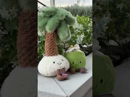 you won't believe this GIANT JELLYCAT
