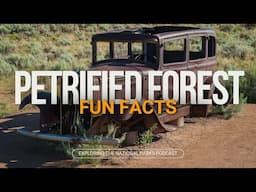 111: 5 Fascinating Fun Facts about Petrified Forest National Park