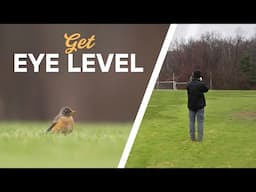 A SIMPLE trick to help make your subjects stand out in your photos | Get Eye Level | Tips Tuesday