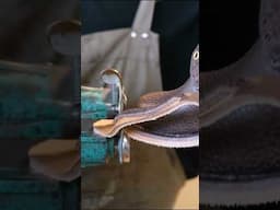 How $600 Leather Boots Are Made!