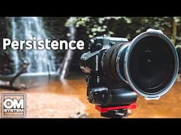 Persist with Your Photography