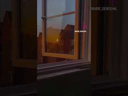 🌅