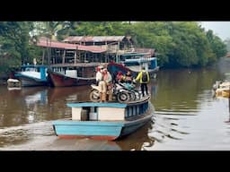 Aktifitas pagi warga transmigrasi menyeberangi sungai kapuas menggunakan kapal klotok