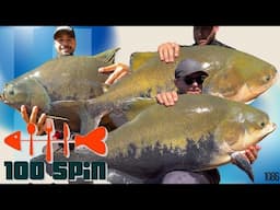 INÍCIO DE FRIO COM GRANDES PEIXES NO 100SPIN - Fishingtur 1086
