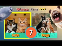 The Hardest Pick One Kick One | Cute Pets and Food Battle | Impossible Edition