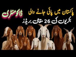 26 Beautiful Goat Breeds Found in Pakistan