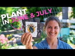 Beat the Heat: Best Vegetables to Grow in Florida (June & July Edition)