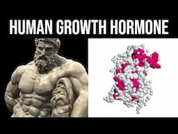How To Increase Growth Hormone Naturally - Maximise HGH