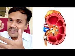 கிரியேட்டினின் ஏன் அதிகரிக்கிறது? எப்படி குறையும்? creatinine level?