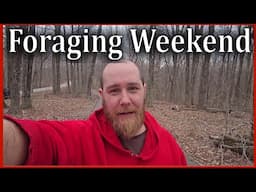 I'm Leading a Foraging Weekend! Come Join Us!!