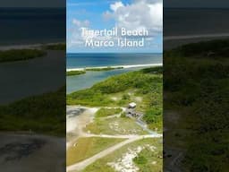 Tigertail Beach Marco Island