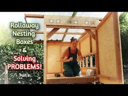 Solving PROBLEMS with our DIY Chicken Coop & Building ROLLAWAY NESTING Boxes - Part 3