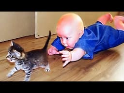 🔴 [LIVE] MUST WATCH: Funny Cute Babies Playing With Cats And Dogs || Cool Peachy🍑