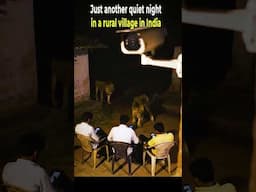 Only in India: Night Visitor Caught on CCTV