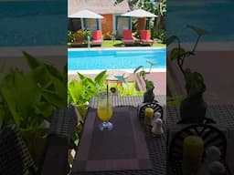 At Villa Kasadya, Even the Drink Matches the Vibe 🍹✨ #bohol