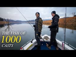 We spent WEEKS to Catch Australia's Largest Freshwater Fish...