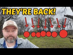 I Called The Cops & The Neighbors…But No One Seems To Take It Seriously!