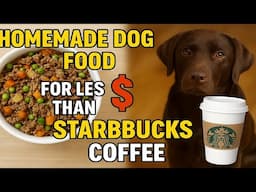 How I Ditched Kibble for Homemade Dog Food (and Saved Money!)💰🐾