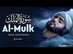 Surah Al Mulk سورة الملك | This will Heal you from Inside | Quran For Sleep | Surah Mulk Lofi Quran