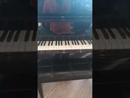 Magic piano at McDonald s in Biltmore Village #biltmore #mcdonalds #shorts