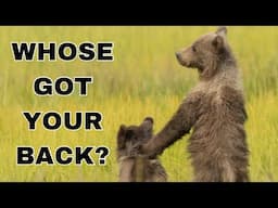 Who's Got Your ADHD  Back?
