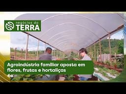 Agroindústria familiar aposta em flores, frutas e hortaliças -  Negócios da Terra (26/04/2025)
