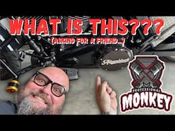 What Is A Primary Drive On A Harley Davidson?