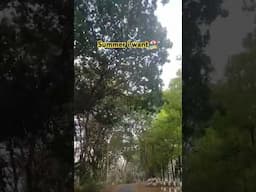 #viralvideo #shortvideo #shortsfeed #viralshort #shortsviral #shorts #short #share