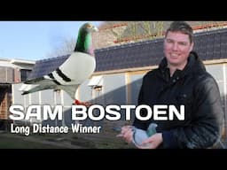 SAM BOSTOEN - Rising Star in the World of Long Distance Pigeon Racing