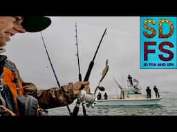 TROLL & JIG HARD for La Jolla Yellowtail | Solo Skiff Fishing | Calico Bass Catch and Cook SDFS