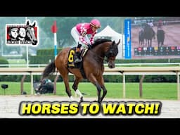 Top Horses to Watch For The Rest of 2025