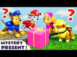 Can the toy Paw Patrol pups catch and open the Birthday Present?