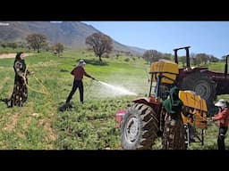 🐝 Hard work, big heart! Zeinab has started an unequal but beautiful war on her farm… 💪🌾