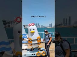 🛟 Boogi - Busan’s 🇰🇷 mascot wants you to stay safe and wear a PFD! 안전 제일 🫰🏼 #watersafety