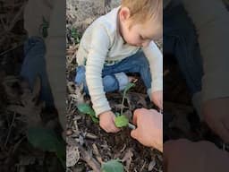 planting memories in the garden.